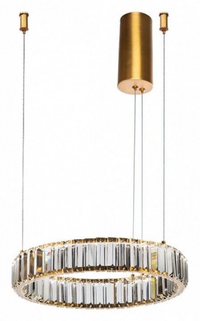 Подвесной светильник Divinare Renata 1135/17 SP-25 в Соликамске - solikamsk.mebel24.online | фото 2