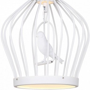 Подвесной светильник Favourite Chick 1931-2P в Соликамске - solikamsk.mebel24.online | фото 3
