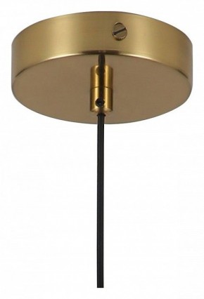 Подвесной светильник Favourite Copita 2777-1P в Соликамске - solikamsk.mebel24.online | фото 5