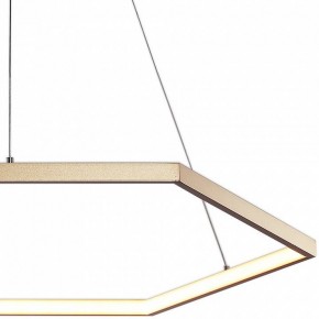 Подвесной светильник Favourite Hexagon 2103-6P в Соликамске - solikamsk.mebel24.online | фото 3