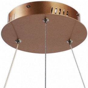 Подвесной светильник Favourite Hexagon 2103-6P в Соликамске - solikamsk.mebel24.online | фото 4