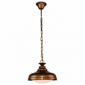 Подвесной светильник Favourite Laterne 1330-1P1 в Соликамске - solikamsk.mebel24.online | фото 2