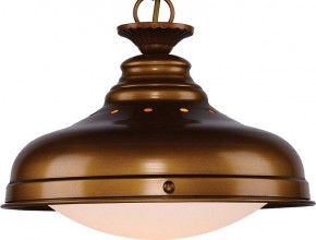 Подвесной светильник Favourite Laterne 1330-1P1 в Соликамске - solikamsk.mebel24.online | фото 3