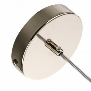 Подвесной светильник Favourite Rocky 2748-1P в Соликамске - solikamsk.mebel24.online | фото 6