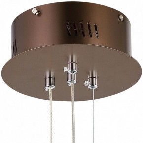 Подвесной светильник Favourite Saturn 2102-2P в Соликамске - solikamsk.mebel24.online | фото 5