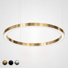 Подвесной светильник Imperiumloft Light Ring Horizontal 40.1454-120 в Соликамске - solikamsk.mebel24.online | фото