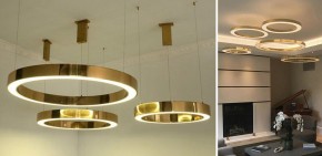 Подвесной светильник Imperiumloft Light Ring Horizontal 40.1454-80 в Соликамске - solikamsk.mebel24.online | фото 2