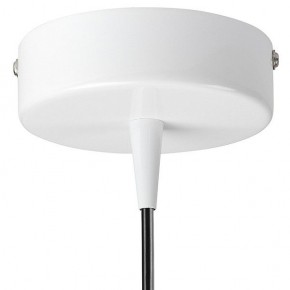 Подвесной светильник Lightstar Conicita 804110 в Соликамске - solikamsk.mebel24.online | фото 6