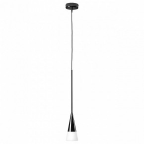 Подвесной светильник Lightstar Conicita 804117 в Соликамске - solikamsk.mebel24.online | фото 2