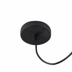 Подвесной светильник Maytoni Gosford T452-PL-01-GR в Соликамске - solikamsk.mebel24.online | фото 11