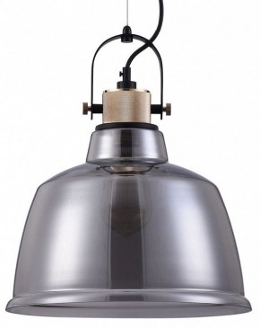 Подвесной светильник Maytoni Irving T163PL-01C в Соликамске - solikamsk.mebel24.online | фото 2