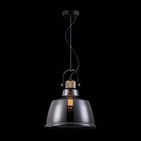 Подвесной светильник Maytoni Irving T163PL-01C в Соликамске - solikamsk.mebel24.online | фото 4