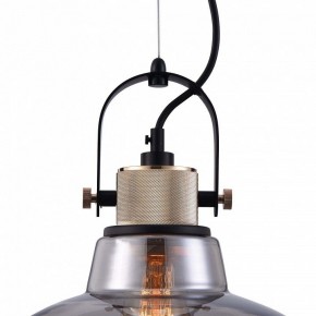 Подвесной светильник Maytoni Irving T163PL-01C в Соликамске - solikamsk.mebel24.online | фото 9
