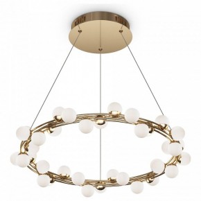 Подвесной светильник Maytoni Tessara MOD081PL-L50G3K в Соликамске - solikamsk.mebel24.online | фото 2