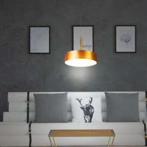 Подвесной светильник Novotech Prometa 358766 в Соликамске - solikamsk.mebel24.online | фото 4