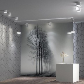 Подвесной светильник Novotech Prometa 358767 в Соликамске - solikamsk.mebel24.online | фото 5