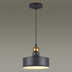 Подвесной светильник Odeon Light Bolli 4088/1 в Соликамске - solikamsk.mebel24.online | фото 4