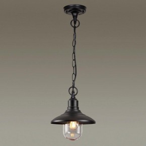Подвесной светильник Odeon Light Campa 4965/1 в Соликамске - solikamsk.mebel24.online | фото 2