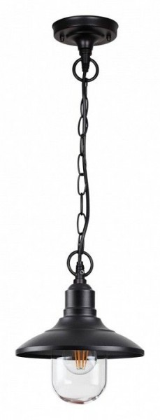 Подвесной светильник Odeon Light Campa 4965/1 в Соликамске - solikamsk.mebel24.online | фото 3