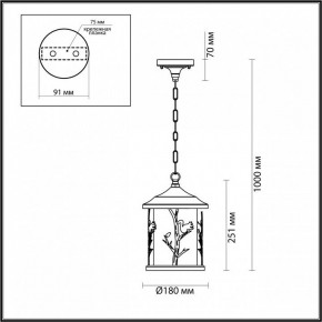 Подвесной светильник Odeon Light Cuita 4963/1 в Соликамске - solikamsk.mebel24.online | фото 6