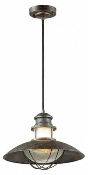 Подвесной светильник Odeon Light Dante 4164/1 в Соликамске - solikamsk.mebel24.online | фото 2