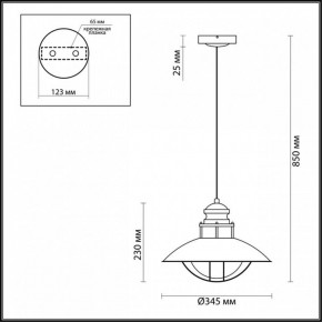 Подвесной светильник Odeon Light Dante 4164/1 в Соликамске - solikamsk.mebel24.online | фото 3