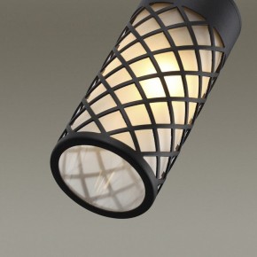 Подвесной светильник Odeon Light Dunes 4834/1 в Соликамске - solikamsk.mebel24.online | фото 6