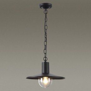 Подвесной светильник Odeon Light Furcadia 4833/1 в Соликамске - solikamsk.mebel24.online | фото 3