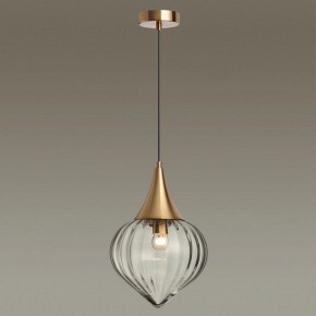 Подвесной светильник Odeon Light Kesta 4950/1 в Соликамске - solikamsk.mebel24.online | фото 2