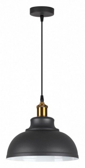 Подвесной светильник Odeon Light Mirt 3366/1 в Соликамске - solikamsk.mebel24.online | фото 2