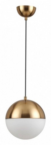 Подвесной светильник Odeon Light Pinga 4960/1A в Соликамске - solikamsk.mebel24.online | фото 3