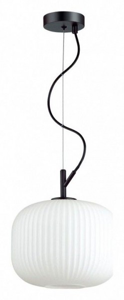 Подвесной светильник Odeon Light Roofi 4753/1 в Соликамске - solikamsk.mebel24.online | фото 2