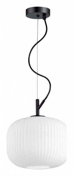Подвесной светильник Odeon Light Roofi 4753/1 в Соликамске - solikamsk.mebel24.online | фото 3