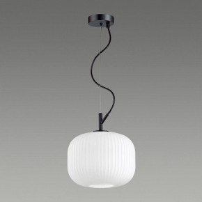 Подвесной светильник Odeon Light Roofi 4753/1 в Соликамске - solikamsk.mebel24.online | фото 4