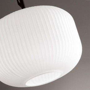Подвесной светильник Odeon Light Roofi 4753/1 в Соликамске - solikamsk.mebel24.online | фото 7
