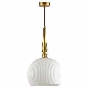 Подвесной светильник Odeon Light Runga 4765/1 в Соликамске - solikamsk.mebel24.online | фото 2