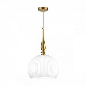 Подвесной светильник Odeon Light Runga 4765/1 в Соликамске - solikamsk.mebel24.online | фото 3
