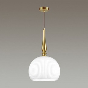 Подвесной светильник Odeon Light Runga 4765/1 в Соликамске - solikamsk.mebel24.online | фото 4
