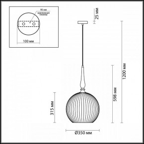 Подвесной светильник Odeon Light Runga 4765/1 в Соликамске - solikamsk.mebel24.online | фото 7