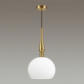 Подвесной светильник Odeon Light Runga 4766/1 в Соликамске - solikamsk.mebel24.online | фото 4
