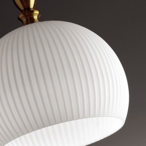 Подвесной светильник Odeon Light Runga 4766/1 в Соликамске - solikamsk.mebel24.online | фото 8