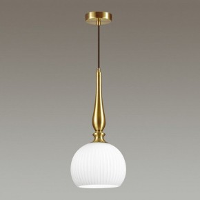 Подвесной светильник Odeon Light Runga 4767/1 в Соликамске - solikamsk.mebel24.online | фото 4