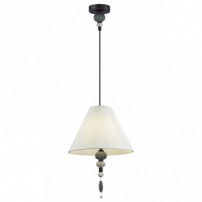 Подвесной светильник Odeon Light Sochi 4896/1 в Соликамске - solikamsk.mebel24.online | фото 2