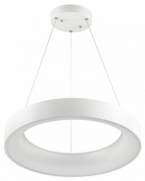 Подвесной светильник Odeon Light Sole 4066/50L в Соликамске - solikamsk.mebel24.online | фото 2