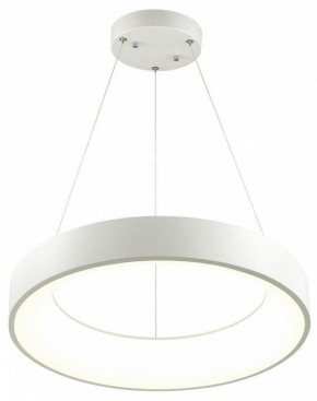 Подвесной светильник Odeon Light Sole 4066/50L в Соликамске - solikamsk.mebel24.online | фото 3