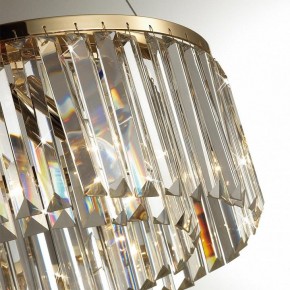 Подвесной светильник Odeon Light Vassa 4987/6 в Соликамске - solikamsk.mebel24.online | фото 6