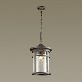 Подвесной светильник Odeon Light Virta 4044/1 в Соликамске - solikamsk.mebel24.online | фото 4