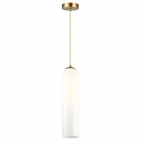 Подвесной светильник Odeon Light Vosti 4642/1 в Соликамске - solikamsk.mebel24.online | фото 2