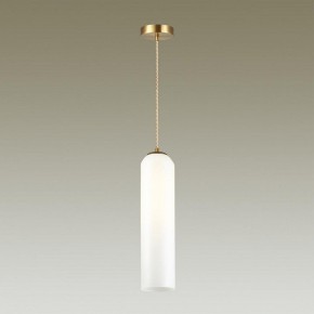 Подвесной светильник Odeon Light Vosti 4642/1 в Соликамске - solikamsk.mebel24.online | фото 4