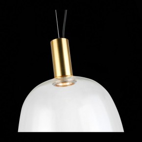 Подвесной светильник ST-Luce Allenore SL1582.313.01 в Соликамске - solikamsk.mebel24.online | фото 9